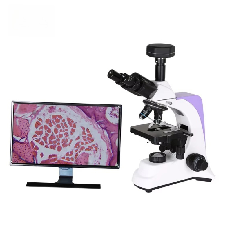 Mikroskop Biologi Digital Labo - Medical Lab Scientist ulasan dan harga