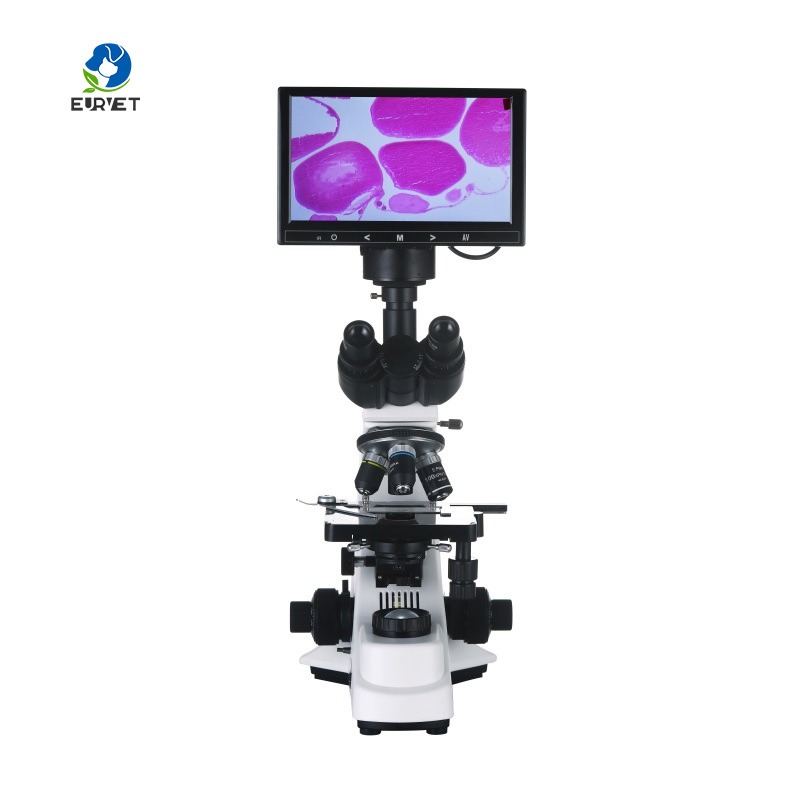 Mikroskop Biologi Digital Labo - Medical Lab Scientist ulasan dan harga