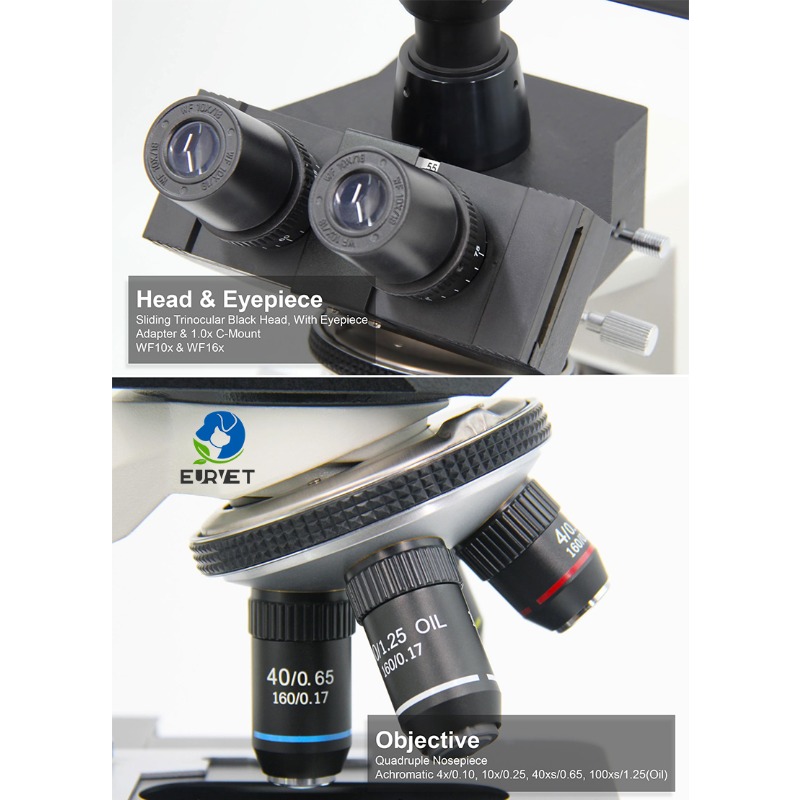 Mikroskop Biologi Digital Labo - Medical Lab Scientist ulasan dan harga
