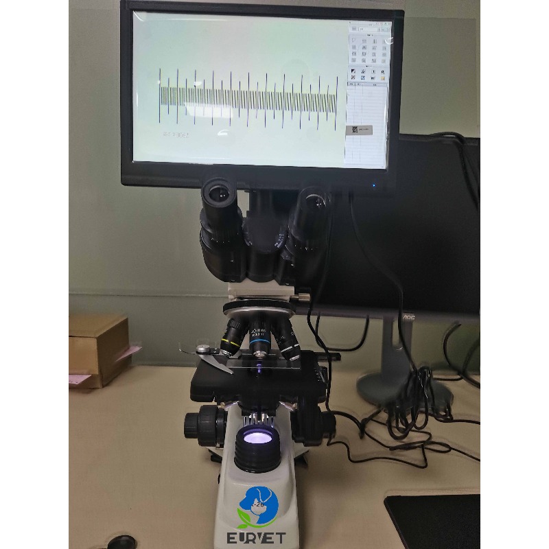 Mikroskop Biologi Digital Labo - Medical Lab Scientist ulasan dan harga